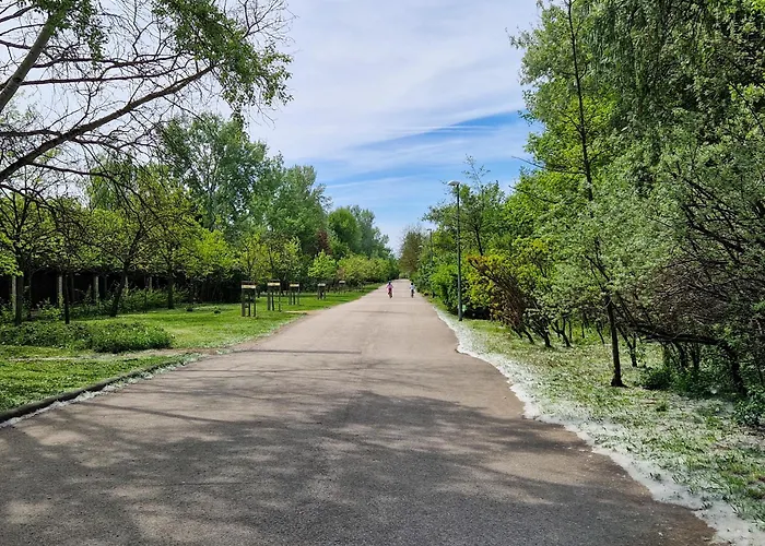 Aquasuite * Budapeszt